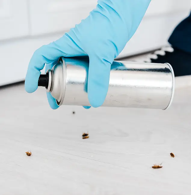 Why Choose Bonita Springs Pest Control Pro for Safe Bed Bug Treatment in Bonita Springs, FL?