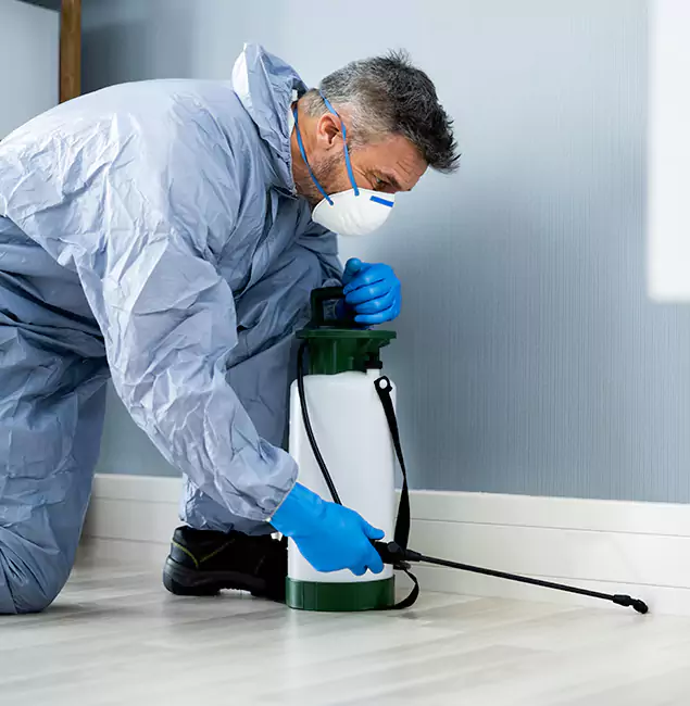 Why Choose Bonita Springs Pest Control Pro for Subterranean Termites Treatment in Bonita Springs, FL?