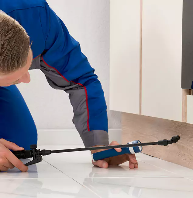 Why Bonita Springs Residents Choose Bonita Springs Pest Control Pro to Get Rid of Sugar Ants?