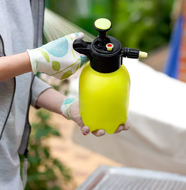 Why Choose Us: Bonita Springs Pest Control Pro Termite Spraying Experts in Bonita Springs, FL?