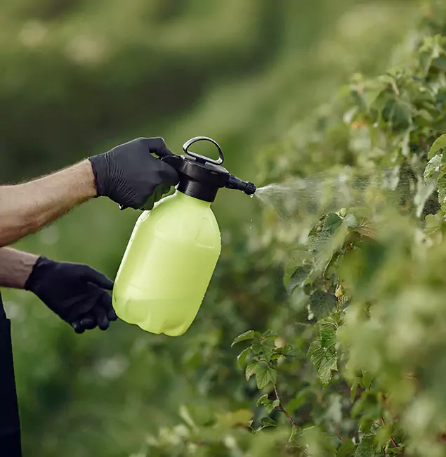Why Bonita Springs Homeowners Choose Bonita Springs Pest Control Pro for Yard Tick Treatment?