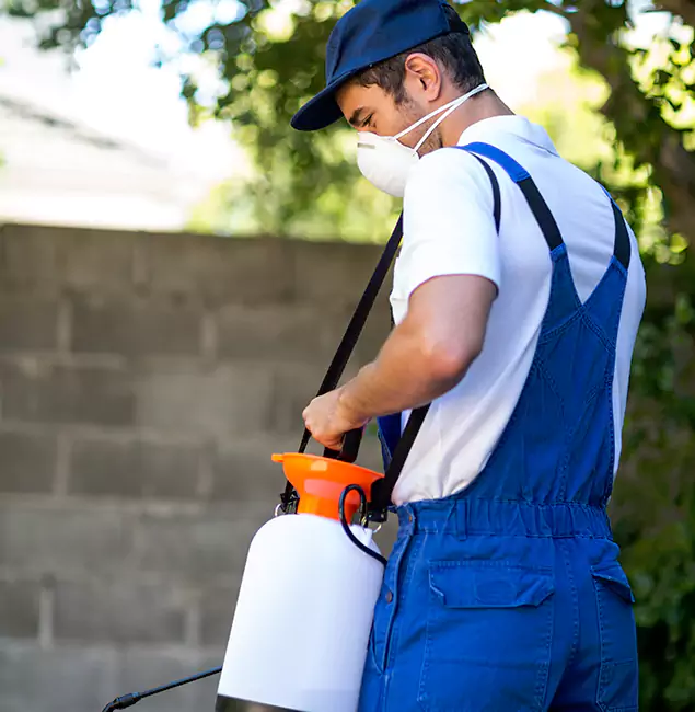 Why Bonita Springs Pest Control Pro Is the Right Choice for Yellow Jacket Removal in Bonita Springs, FL?