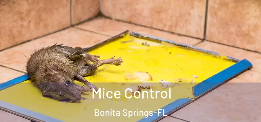 Mice Control Bonita Springs-FL