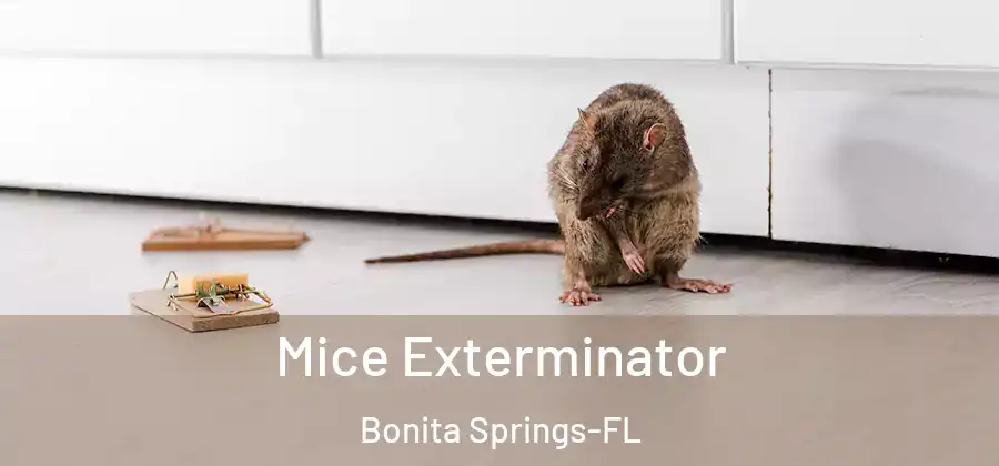 Mice Exterminator Bonita Springs-FL