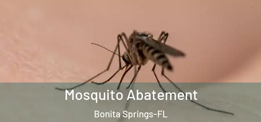 Mosquito Abatement Bonita Springs-FL