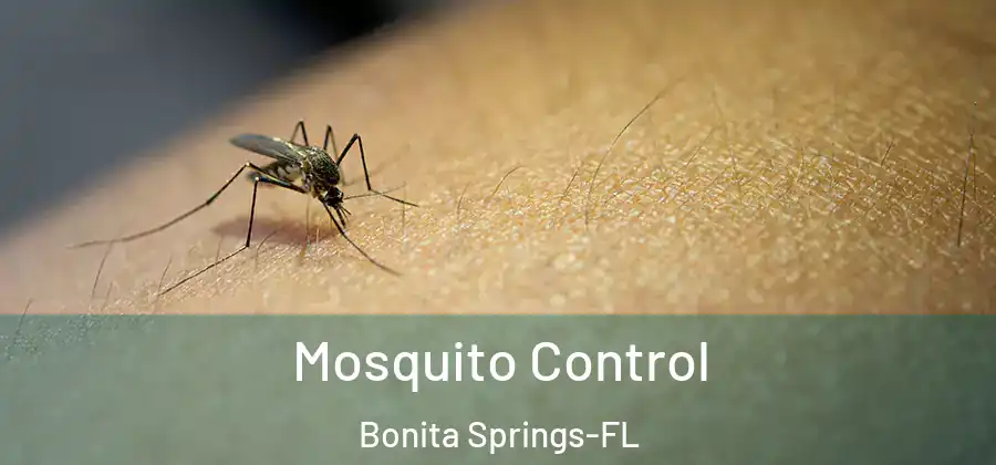 Mosquito Control Bonita Springs-FL