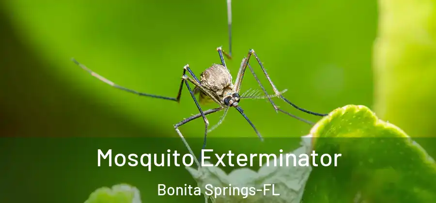 Mosquito Exterminator Bonita Springs-FL