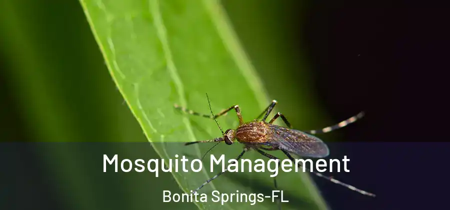 Mosquito Management Bonita Springs-FL