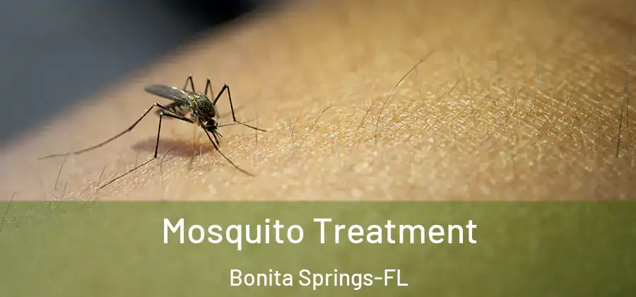 Mosquito Treatment Bonita Springs-FL