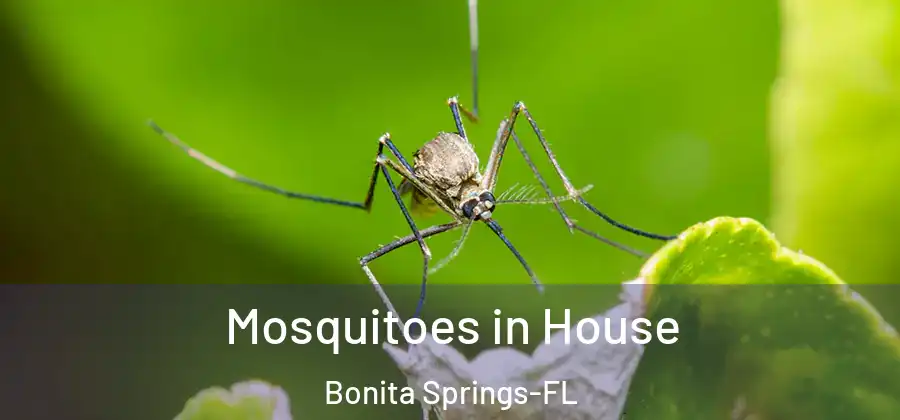  Mosquitoes in House Bonita Springs-FL