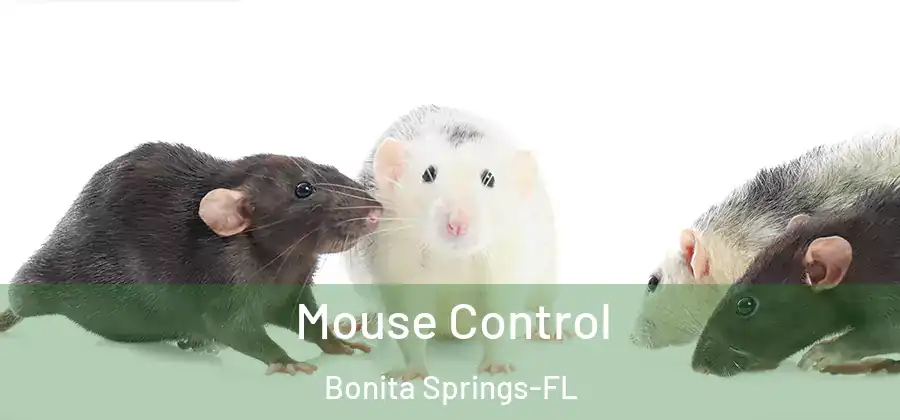 Mouse Control Bonita Springs-FL