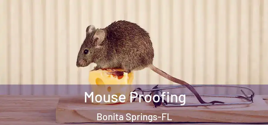 Mouse Proofing Bonita Springs-FL