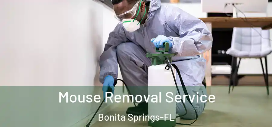 Mouse Removal Service Bonita Springs-FL