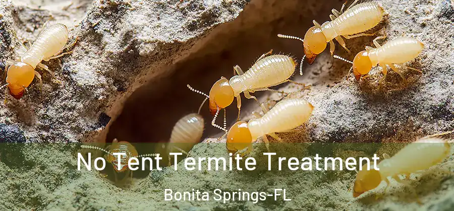  No Tent Termite Treatment Bonita Springs-FL