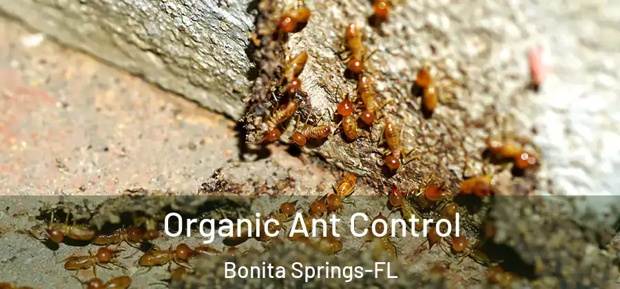 Organic Ant Control Bonita Springs-FL