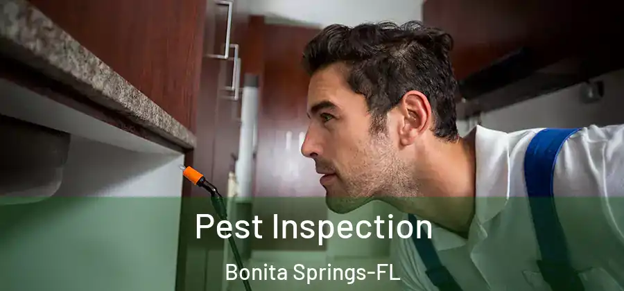 Pest Inspection Bonita Springs-FL