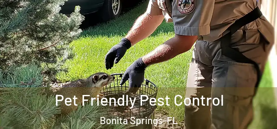 Pet Friendly Pest Control Bonita Springs-FL