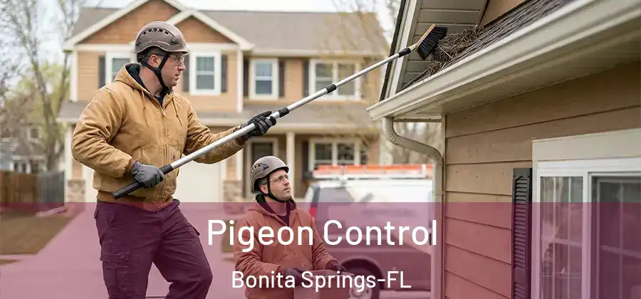 Pigeon Control Bonita Springs-FL