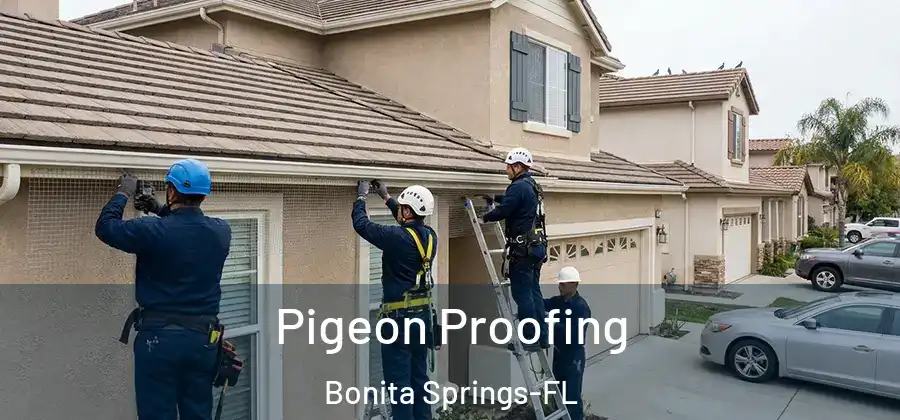 Pigeon Proofing Bonita Springs-FL