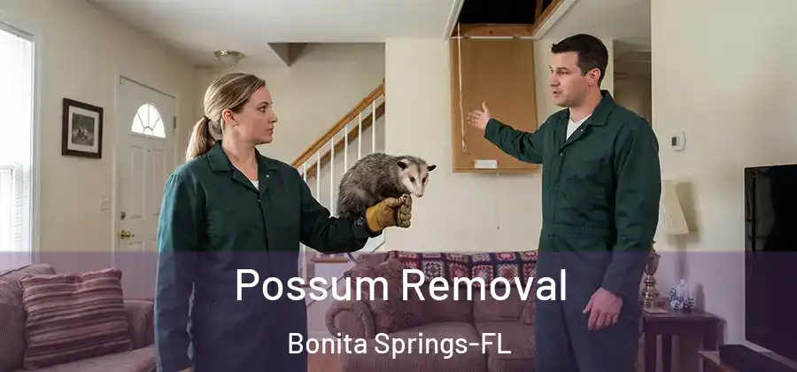 Possum Removal Bonita Springs-FL