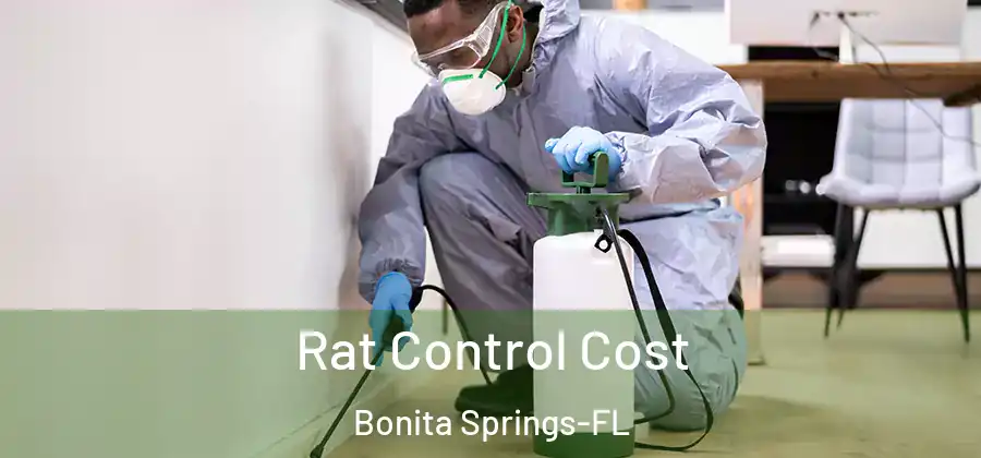 Rat Control Cost Bonita Springs-FL