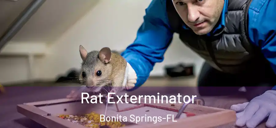 Rat Exterminator Bonita Springs-FL