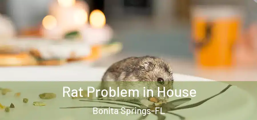 Rat Problem in House Bonita Springs-FL