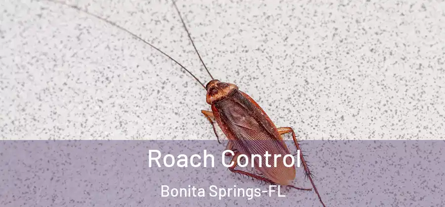Roach Control Bonita Springs-FL