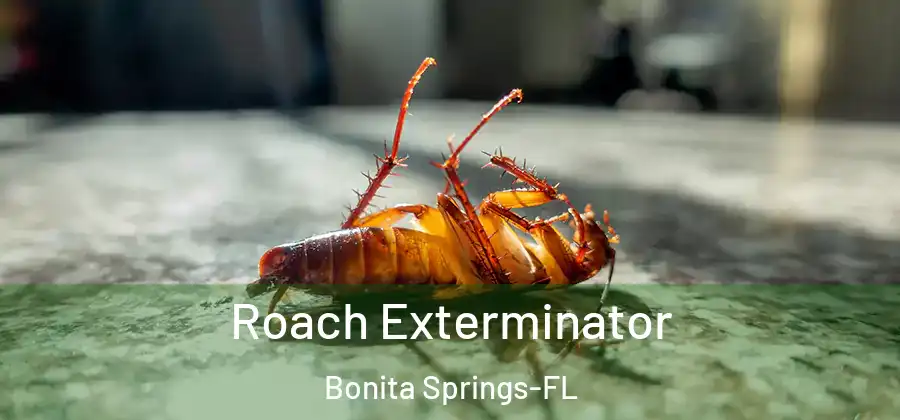 Roach Exterminator Bonita Springs-FL