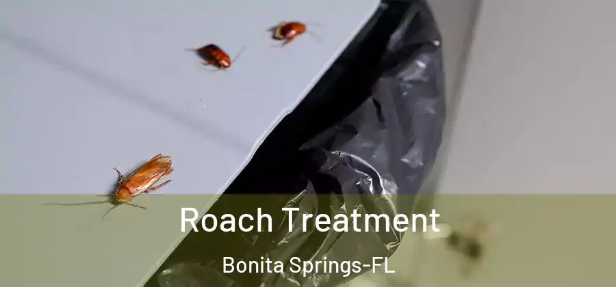  Roach Treatment Bonita Springs-FL