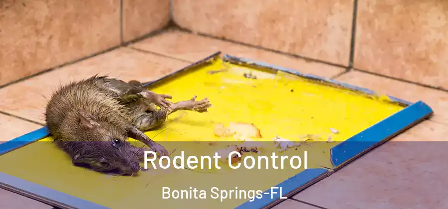  Rodent Control Bonita Springs-FL