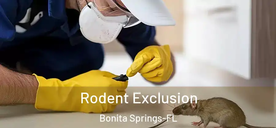 Rodent Exclusion Bonita Springs-FL