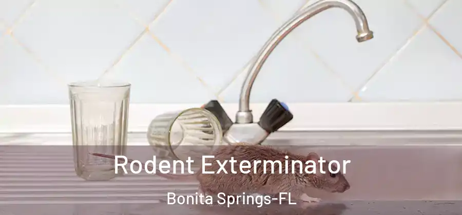 Rodent Exterminator Bonita Springs-FL