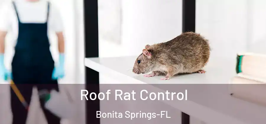 Roof Rat Control Bonita Springs-FL