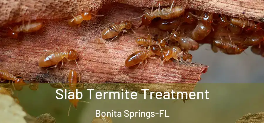  Slab Termite Treatment Bonita Springs-FL