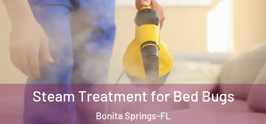 Steam Treatment for Bed Bugs Bonita Springs-FL