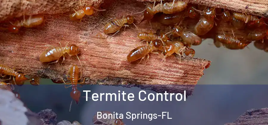 Termite Control Bonita Springs-FL