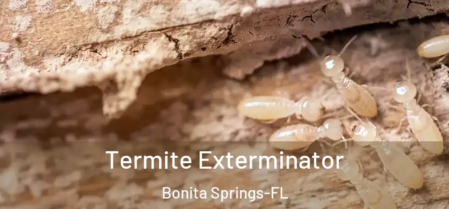  Termite Exterminator Bonita Springs-FL