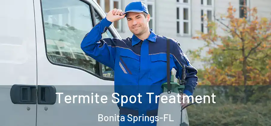Termite Spot Treatment Bonita Springs-FL