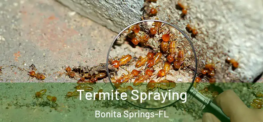  Termite Spraying Bonita Springs-FL