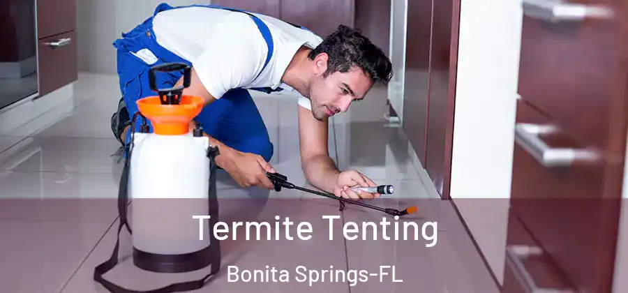 Termite Tenting Bonita Springs-FL