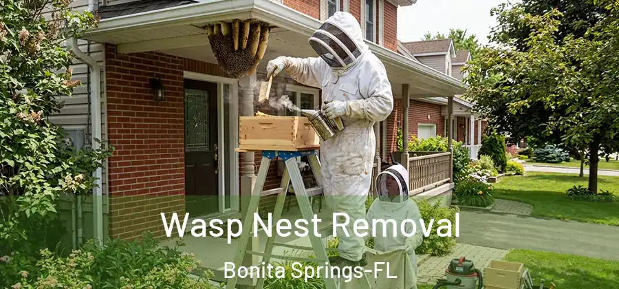 Wasp Nest Removal Bonita Springs-FL