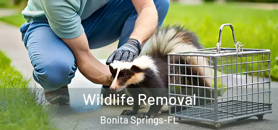  Wildlife Removal Bonita Springs-FL