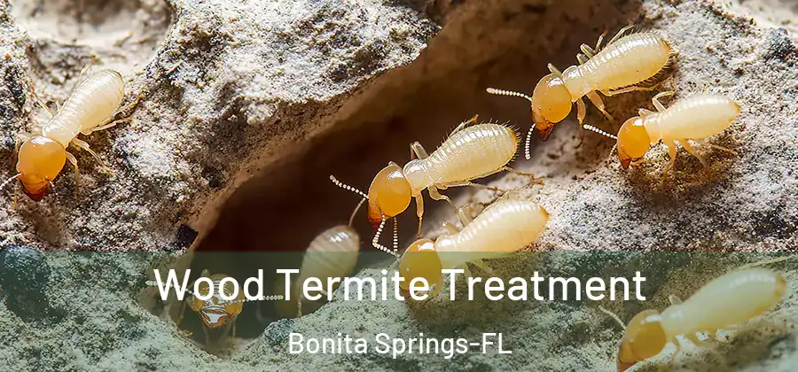 Wood Termite Treatment Bonita Springs-FL