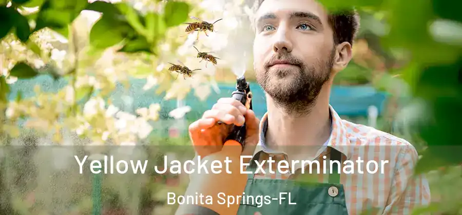 Yellow Jacket Exterminator Bonita Springs-FL