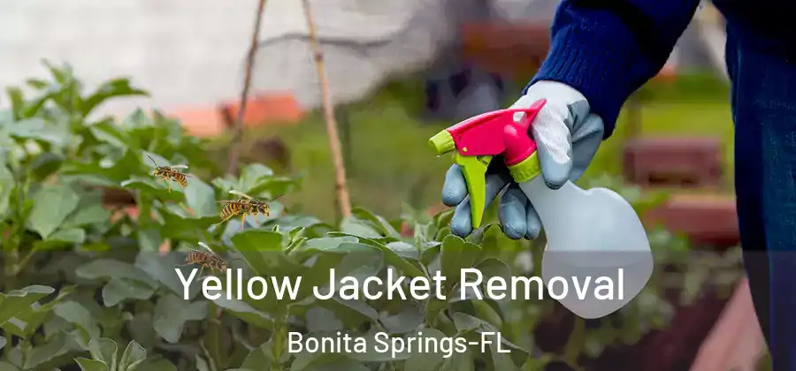 Yellow Jacket Removal Bonita Springs-FL
